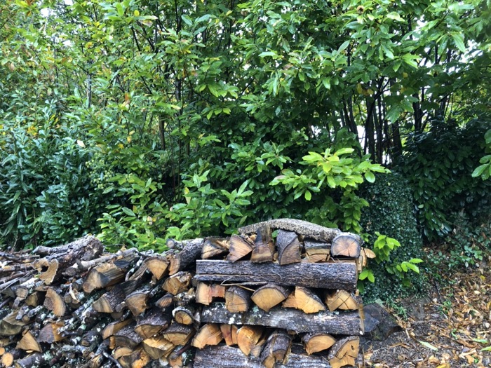 Bois de Chauffage de Chataignier