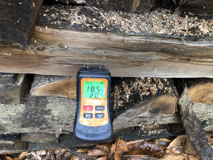 Châtaignier coupé depuis 3 ans TH18%