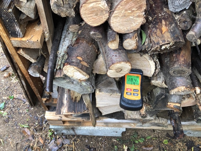 Châtaignier coupé depuis 3ans sous bûcher TH18