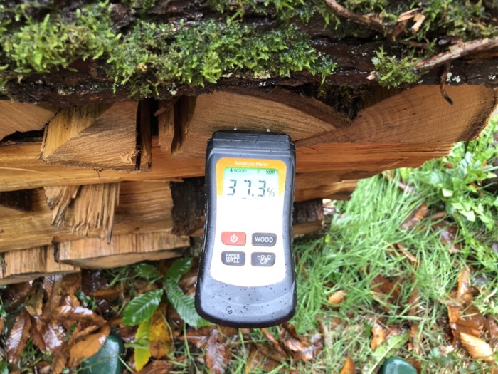 Châtaignier coupé fendu depuis 1 an TH37%